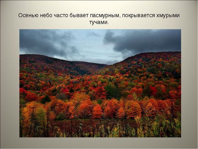 Признаки осени. Презентация для детей средней группы