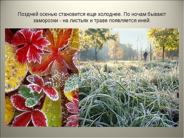 Признаки осени. Презентация для детей средней группы