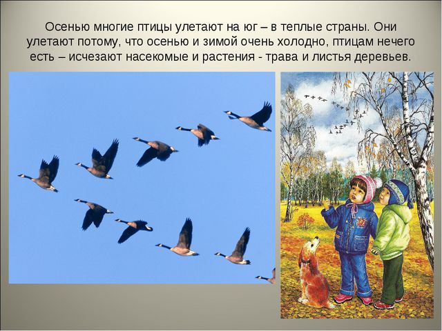 Признаки осени. Презентация для детей средней группы