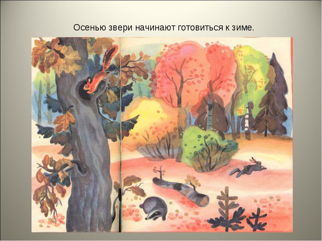 Признаки осени. Презентация для детей средней группы