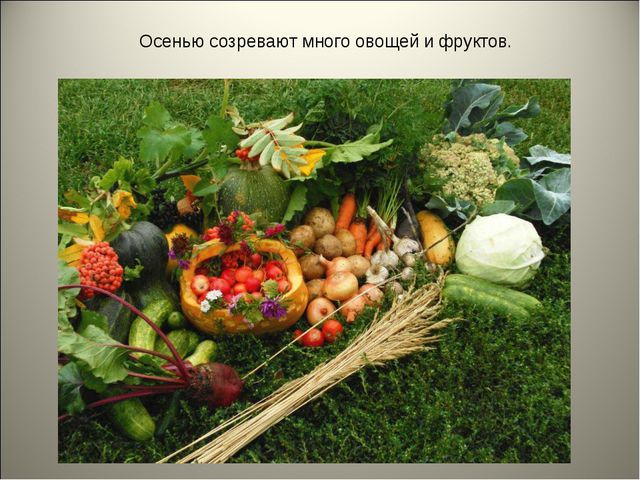 Признаки осени. Презентация для детей средней группы