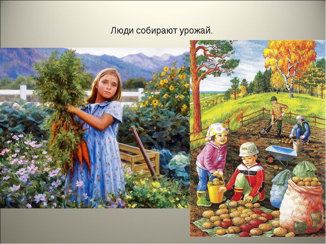 Признаки осени. Презентация для детей средней группы