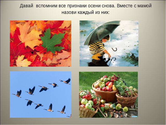 Признаки осени. Презентация для детей средней группы