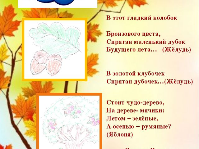 Осенние загадки. Презентация по познавательно-речевому развитию детей