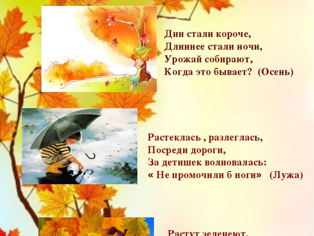 Осенние загадки. Презентация по познавательно-речевому развитию детей