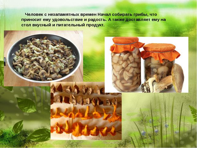 Самый главный гриб. Презентация по познавательно-речевому развитию детей