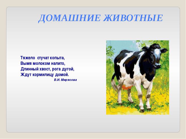 Дикие и домашние животные. Презентация для детей