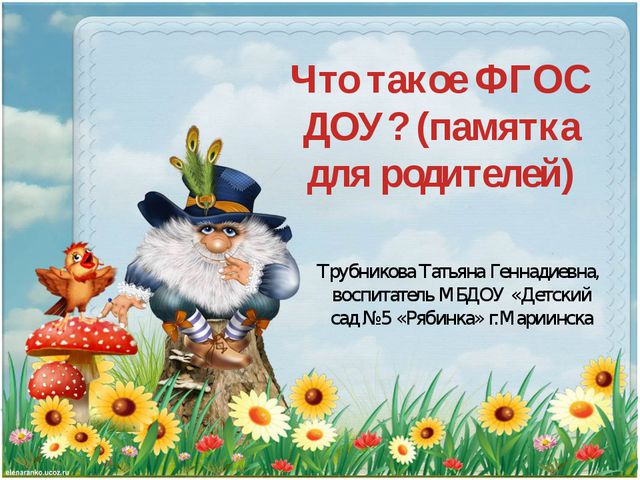 Что такое ФГОС ДОУ?