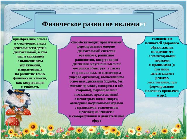 Что такое ФГОС ДОУ?