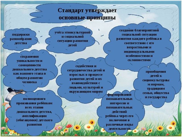 Что такое ФГОС ДОУ?
