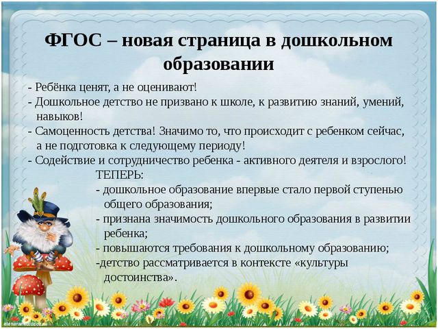 Что такое ФГОС ДОУ?