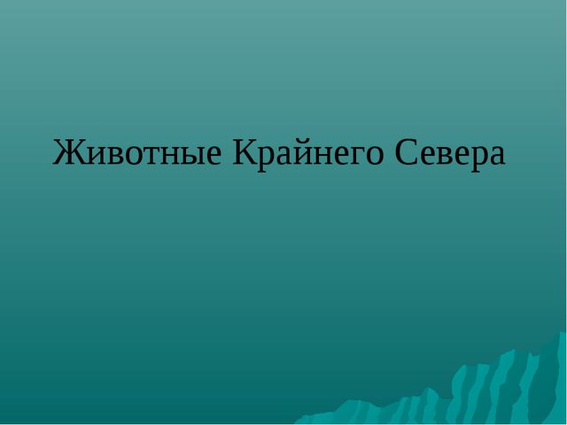 Животные Крайнего Севера. Презентация по окружающему миру