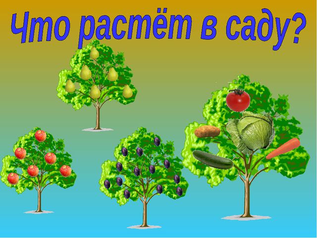 Овощи и фрукты. Презентация для детей дошкольного возраста