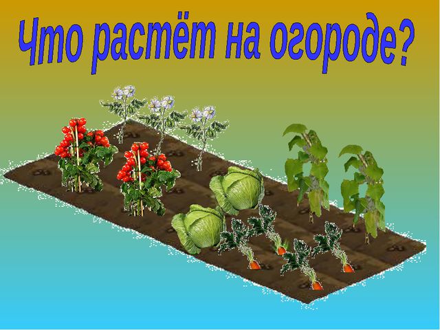 Овощи и фрукты. Презентация для детей дошкольного возраста