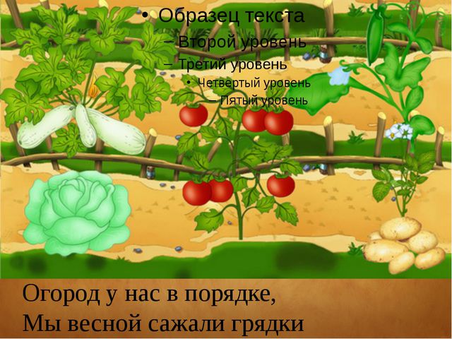 Овощи. Презентация