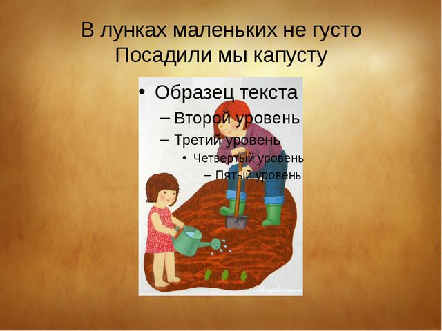 Посеянный как пишется. Не посеяны как пишется. Что имеем не густо.