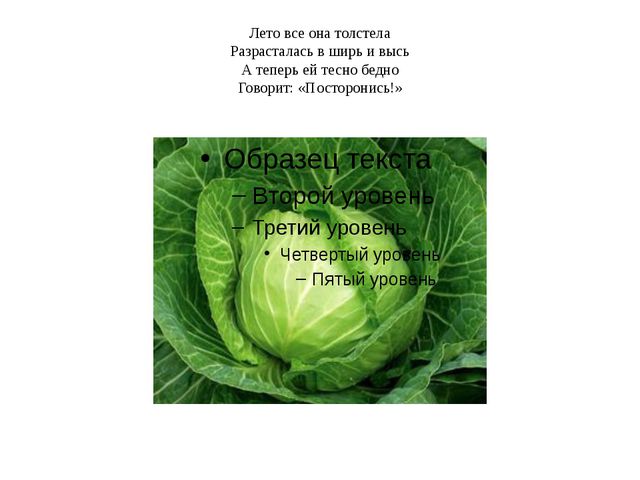 Овощи. Презентация