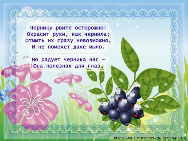 Фрукты и ягоды. Презентация о витаминах