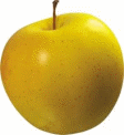 Shape1