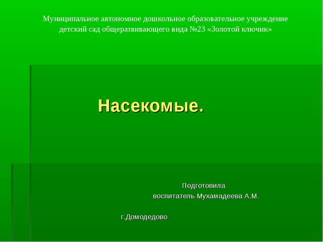 Насекомые. Презентация по познавательному развитию