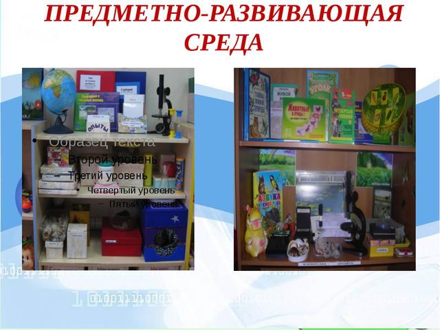 Познавательно-исследовательская деятельность в ДОУ. Презентация