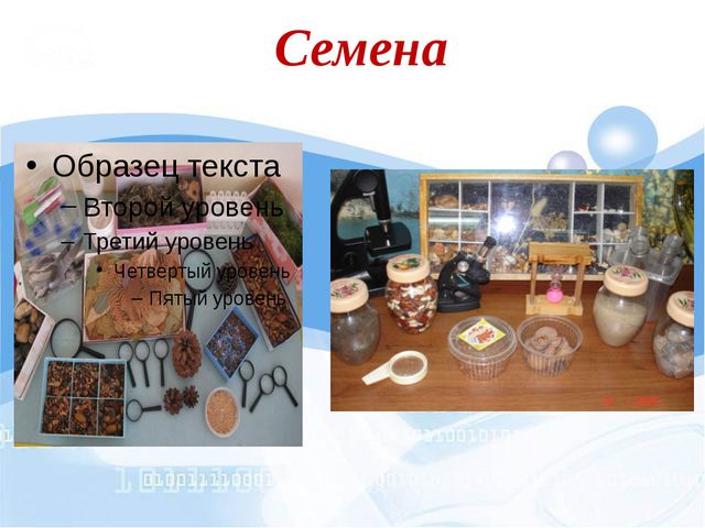 Познавательно-исследовательская деятельность в ДОУ. Презентация