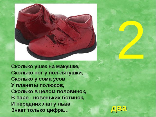 Презентация по ФЭМП для средней группы. Учимся считать