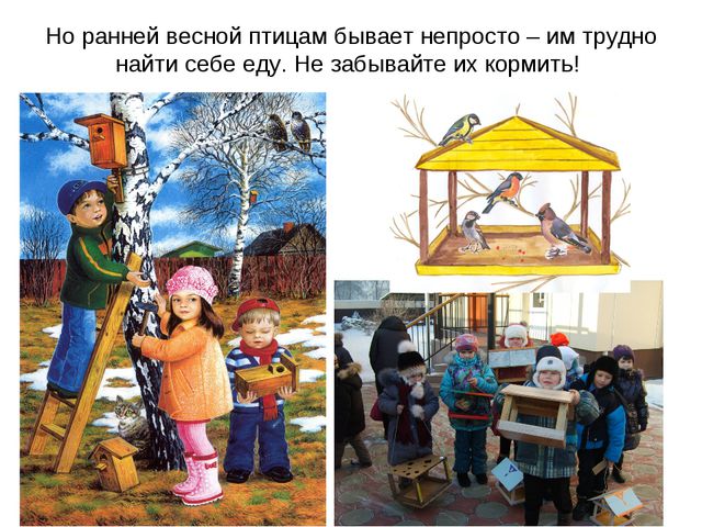 Животные весной. Презентация для 2 младшей группы