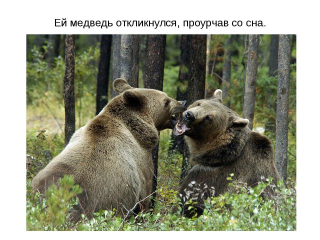 Животные весной. Презентация для 2 младшей группы