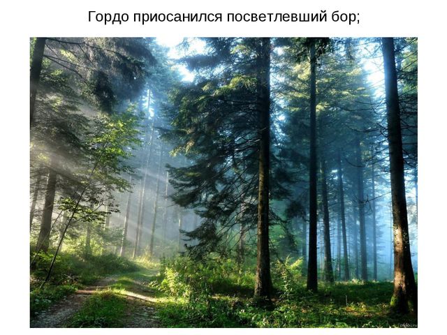 Животные весной. Презентация для 2 младшей группы