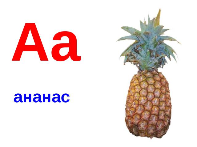 Алфавит в картинках