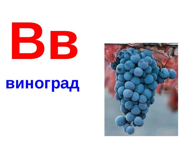 Алфавит в картинках