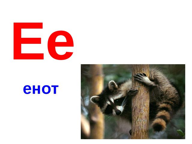 Алфавит в картинках