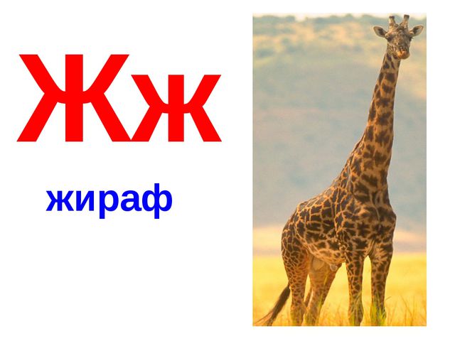Алфавит в картинках
