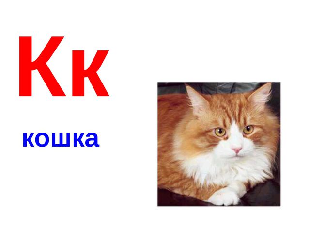 Алфавит в картинках