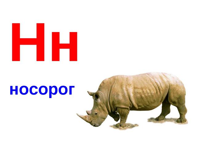 Алфавит в картинках