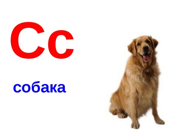Алфавит в картинках