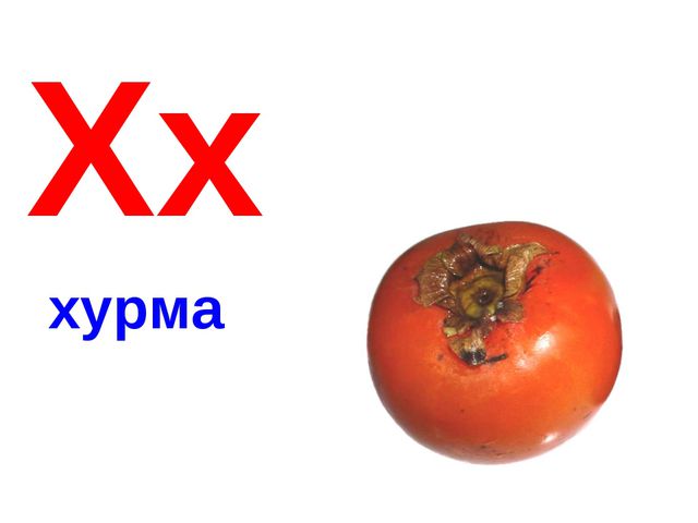 Алфавит в картинках