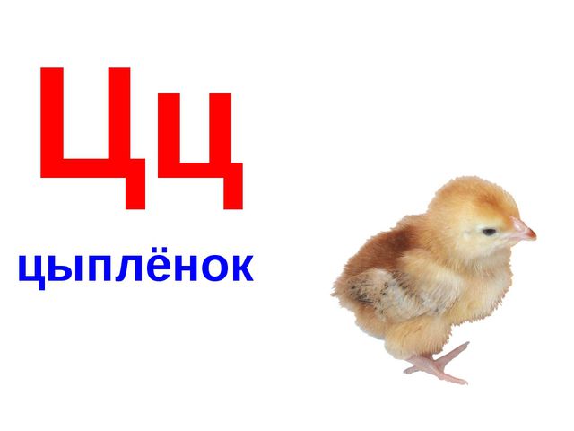 Алфавит в картинках