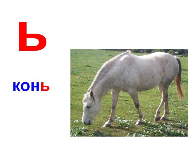 Алфавит в картинках