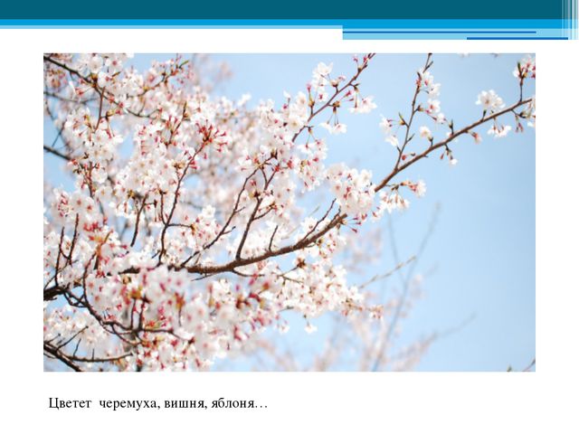 Приметы весны. Презентация для детей