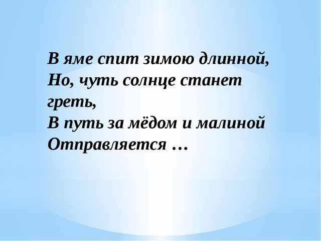 Загадки о диких животных нашего края