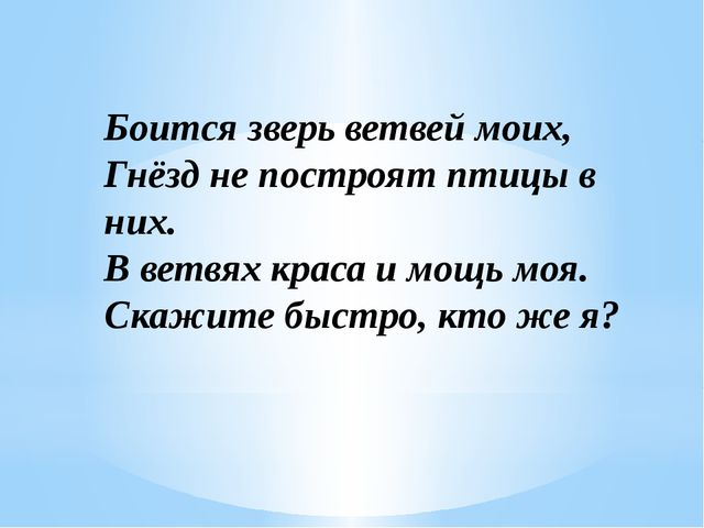 Загадки о диких животных нашего края