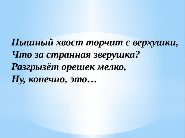 Загадки о диких животных нашего края