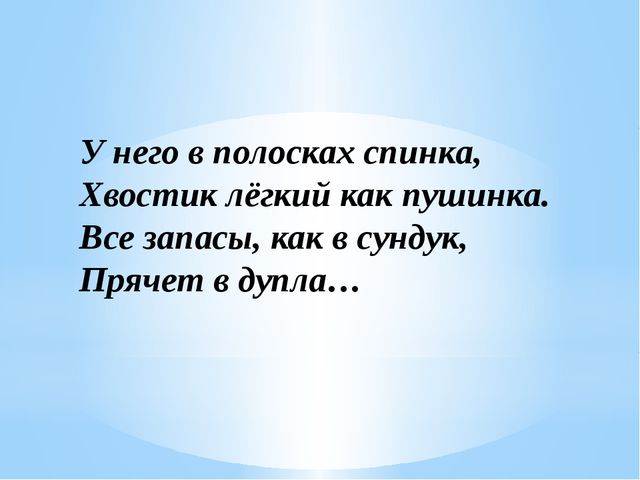 Загадки о диких животных нашего края