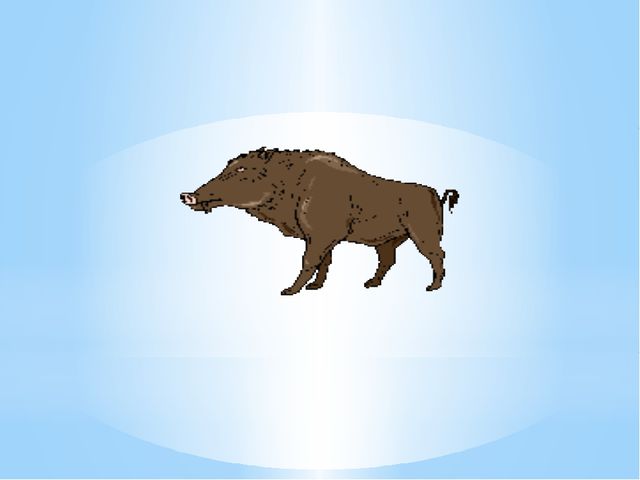 Загадки о диких животных нашего края