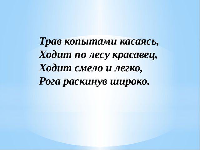Загадки о диких животных нашего края