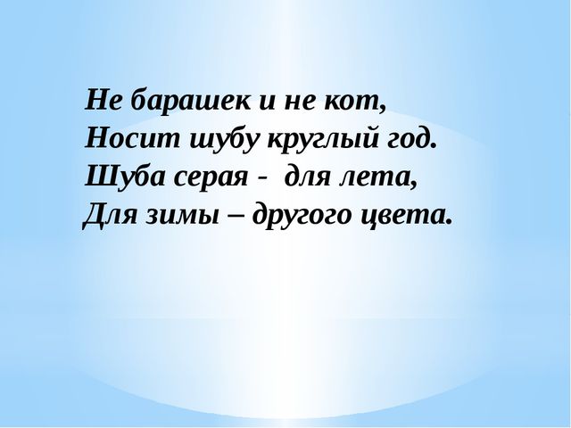 Загадки о диких животных нашего края