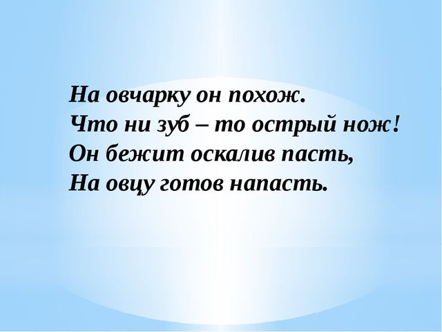 Загадки о диких животных нашего края