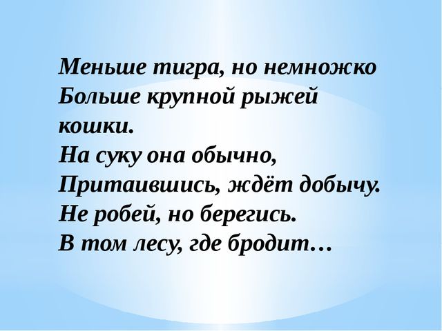 Загадки о диких животных нашего края